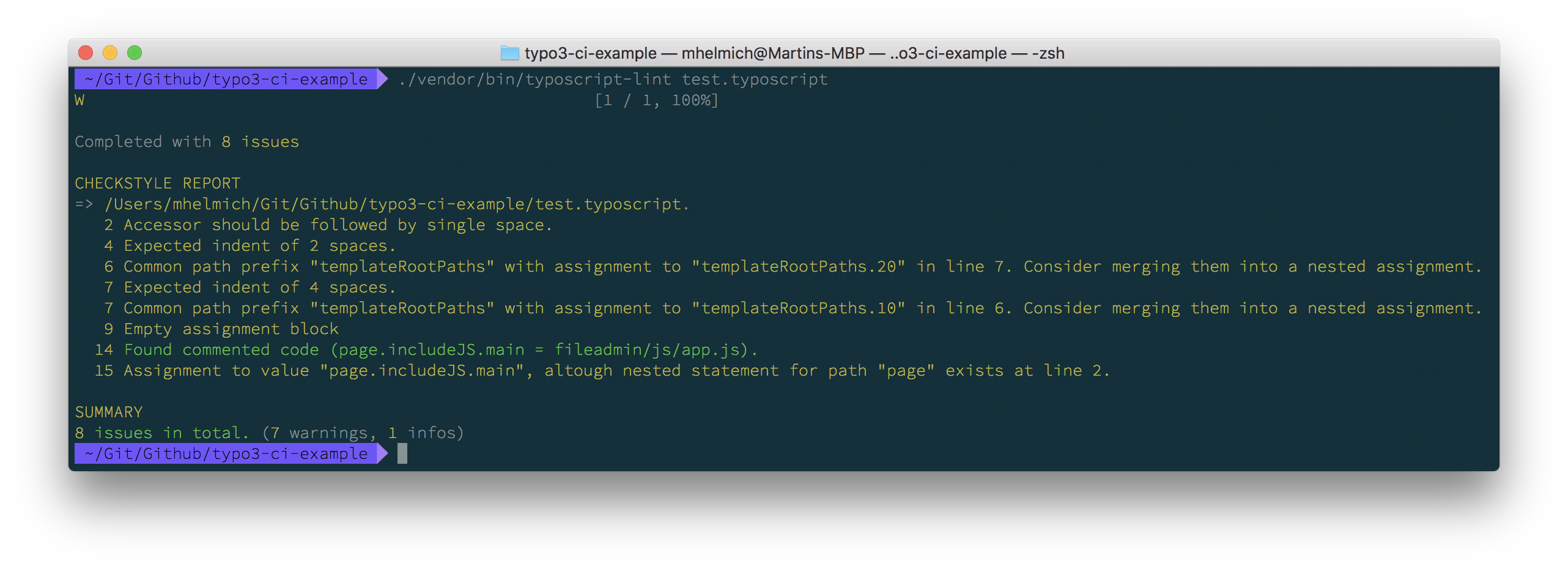 Output of `typoscript-lint`